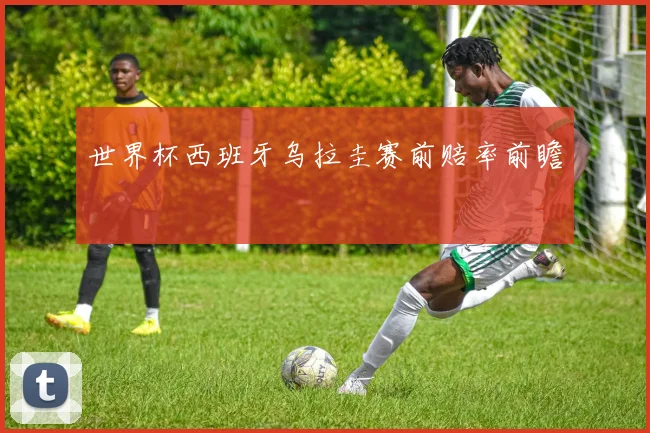 世界杯西班牙乌拉圭赛前赔率前瞻