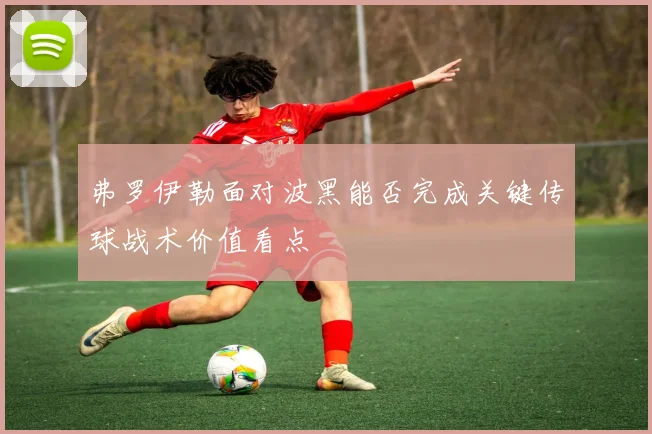 弗罗伊勒面对波黑能否完成关键传球战术价值看点