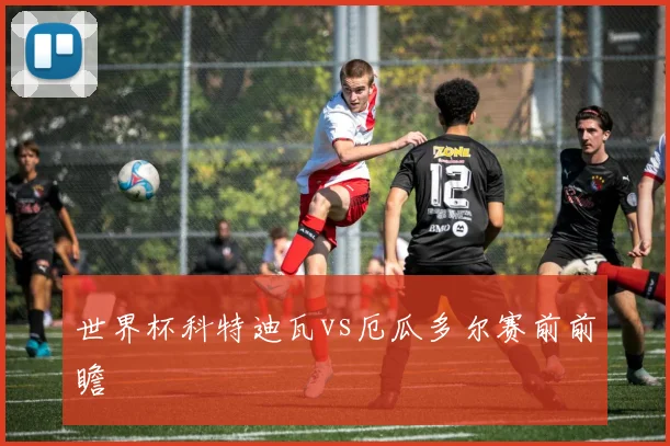 世界杯科特迪瓦vs厄瓜多尔赛前前瞻