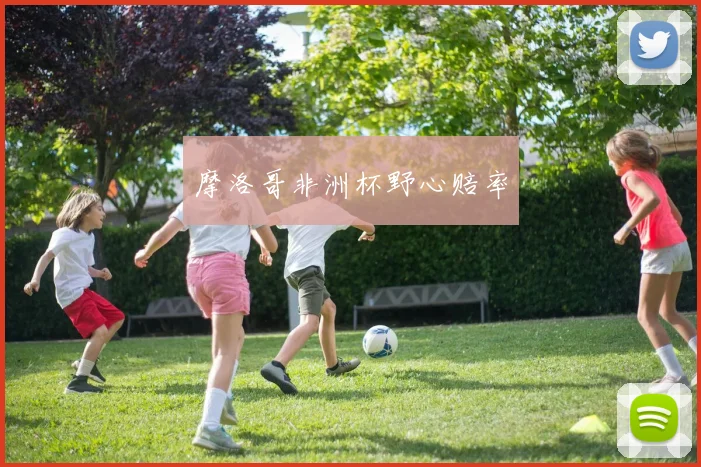 摩洛哥非洲杯野心赔率