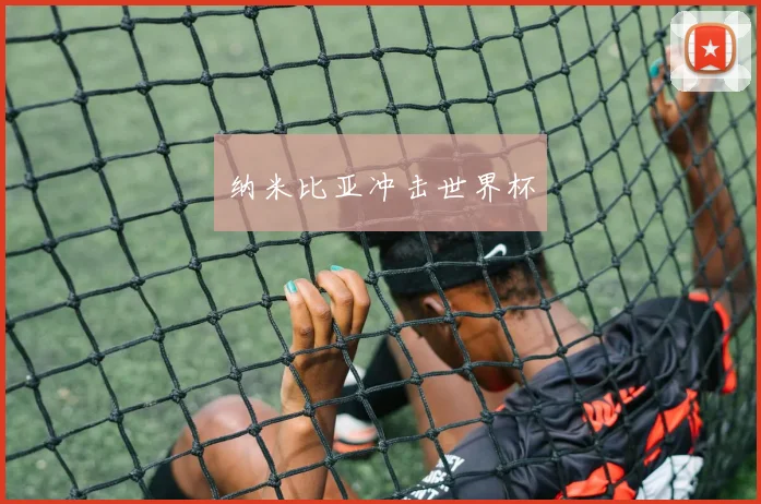 纳米比亚冲击世界杯