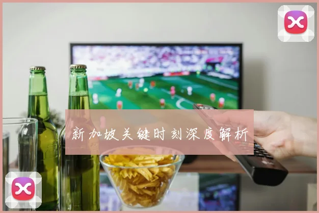 新加坡关键时刻深度解析