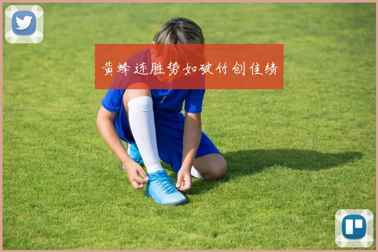黄蜂连胜势如破竹创佳绩