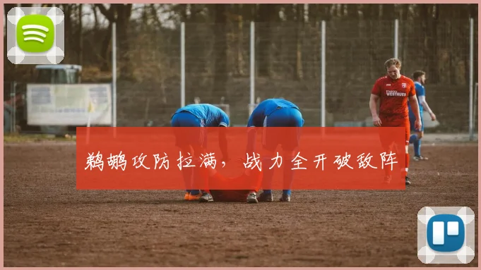 鹈鹕攻防拉满，战力全开破敌阵