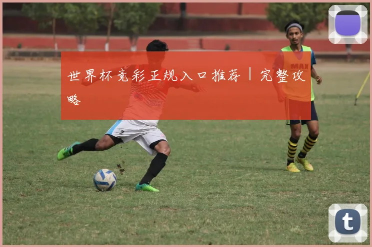 世界杯竞彩正规入口推荐｜完整攻略