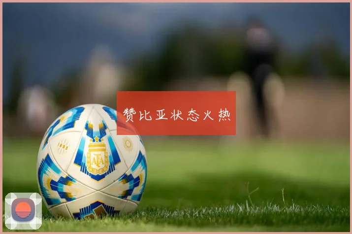 赞比亚状态火热