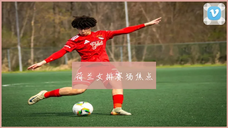 荷兰女排赛场焦点