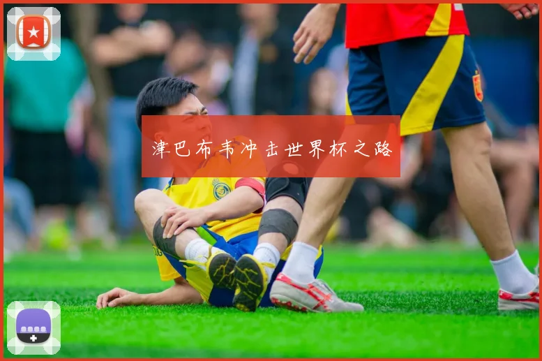 津巴布韦冲击世界杯之路
