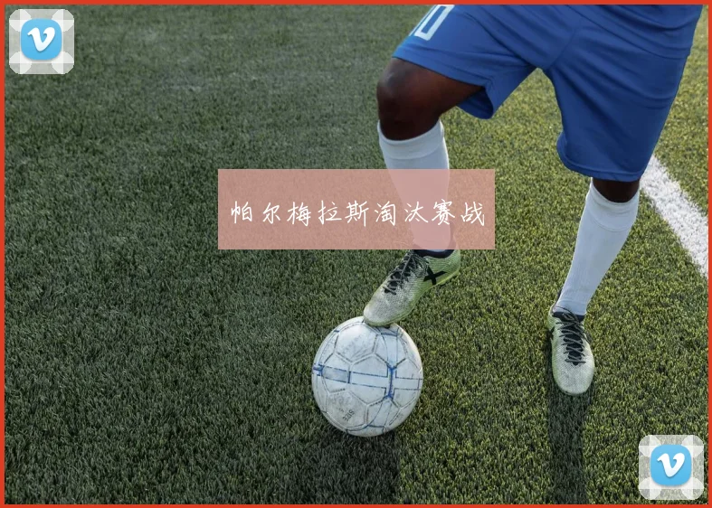 帕尔梅拉斯淘汰赛战