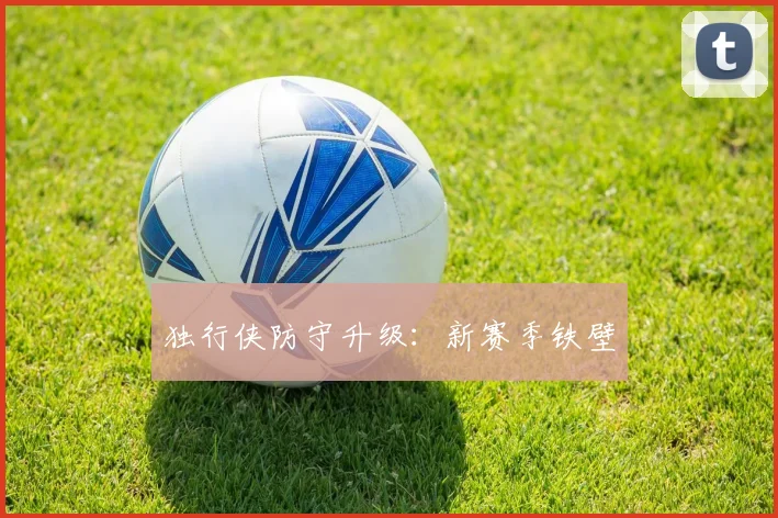 独行侠防守升级：新赛季铁壁