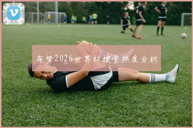 布努2026世界杯搜索热度分析
