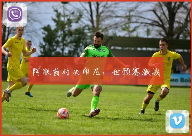 阿联酋对决印尼，世预赛激战