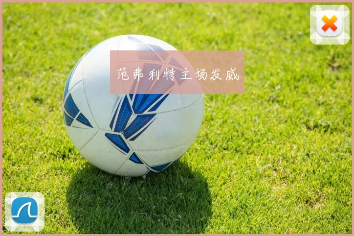 范弗利特主场发威