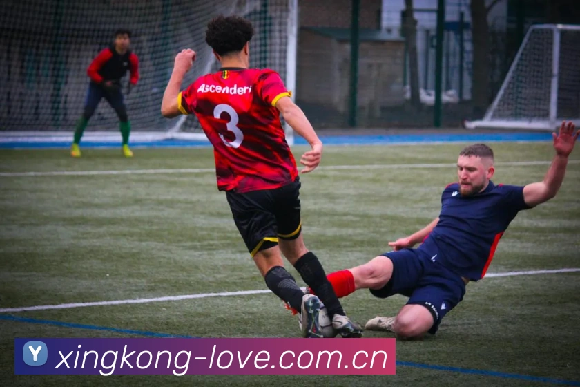 数据分析功能