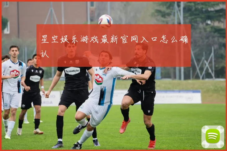 星空娱乐游戏最新官网入口怎么确认
